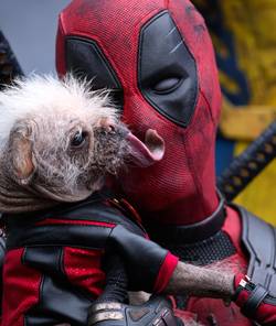 Dogpool licks Deadpool’s face (or at least the outside of his mask) in Deadpool & Wolverine.